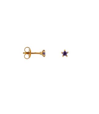 Label Kiki Label Kiki Purple star gold KZ901-GOLD