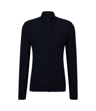 Hugo Boss Avac_fz dark blue