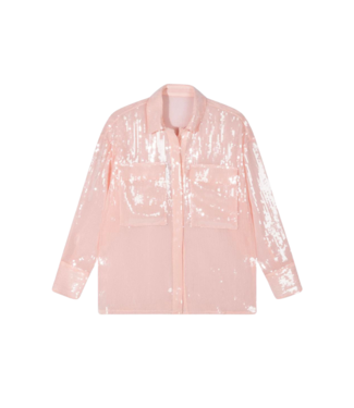 Alix the Label Sequin blouse nude pink