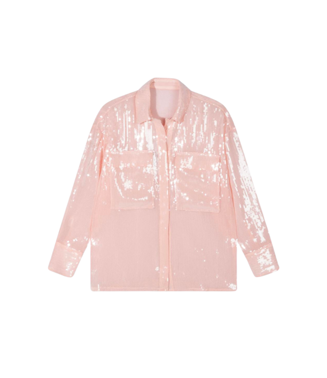 Alix the Label Sequin blouse nude pink 2404909729-312