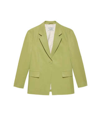 Catwalk Junkie Oversized blazer palm