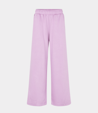 MbyM Asaka-M Hope Orchid Bloom