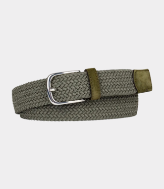 Profuomo Belt elastic green