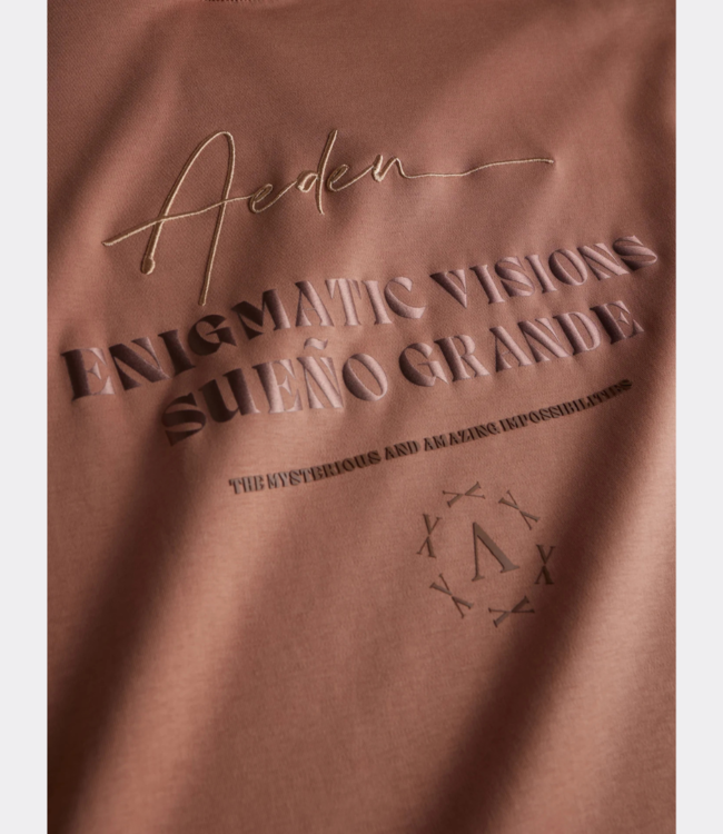 Aeden Razz Tee mocha mouse A22243122-207