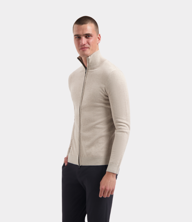 Saint Steve dirk s stone