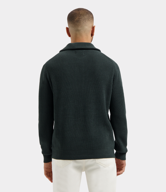 Dstrezzed josiah skipper forest river