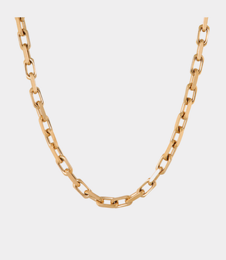 Label Kiki Bold chain necklace gold