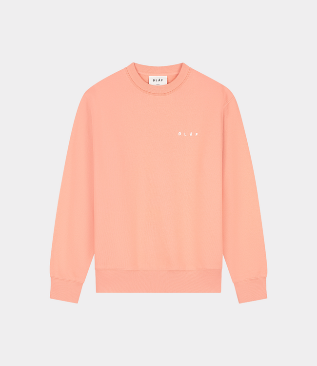 Olaf brushstroke face crewneck burnt coral