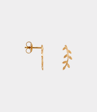 Label Kiki Leaf stud gold