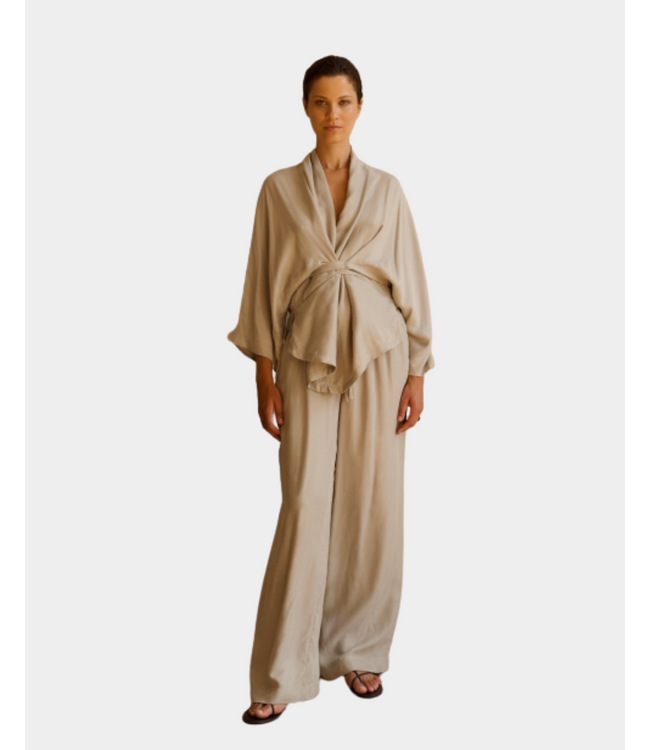 Club L'avenir Zody'cl pant taupe