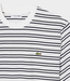 Lacoste Striped tee blackbird flour