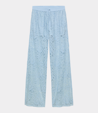 Catwalk Junkie pull on lace trousers powder blue