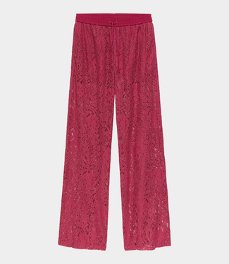 Catwalk Junkie pull on lace trousers cranberry juice