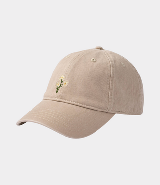 Foret bellis washed cap khaki