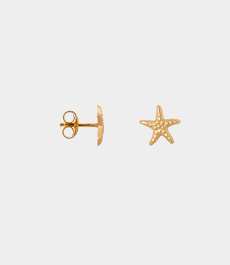 Label Kiki Mini sea star gold