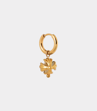 Label Kiki Classic muse hoop gold