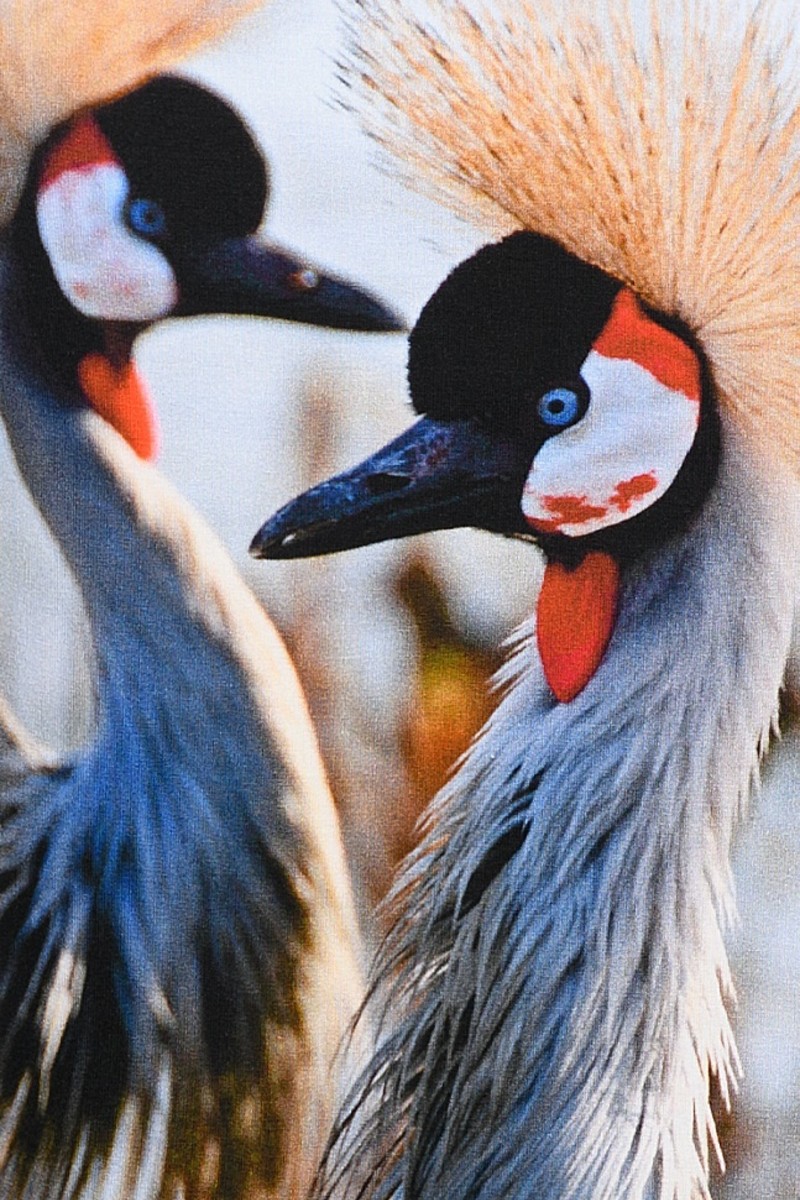 icke, BERLIN - Reversible Skirt Crowned Crane