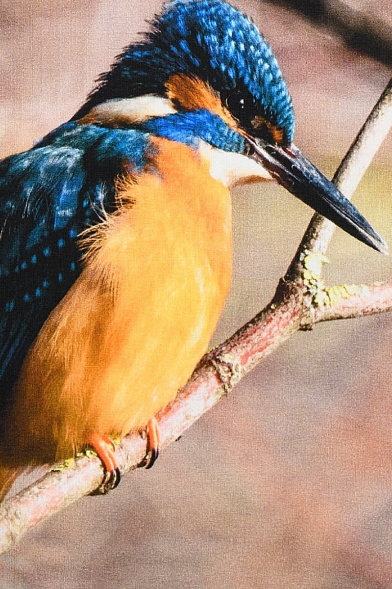 icke, BERLIN - Reversible Skirt Kingfisher