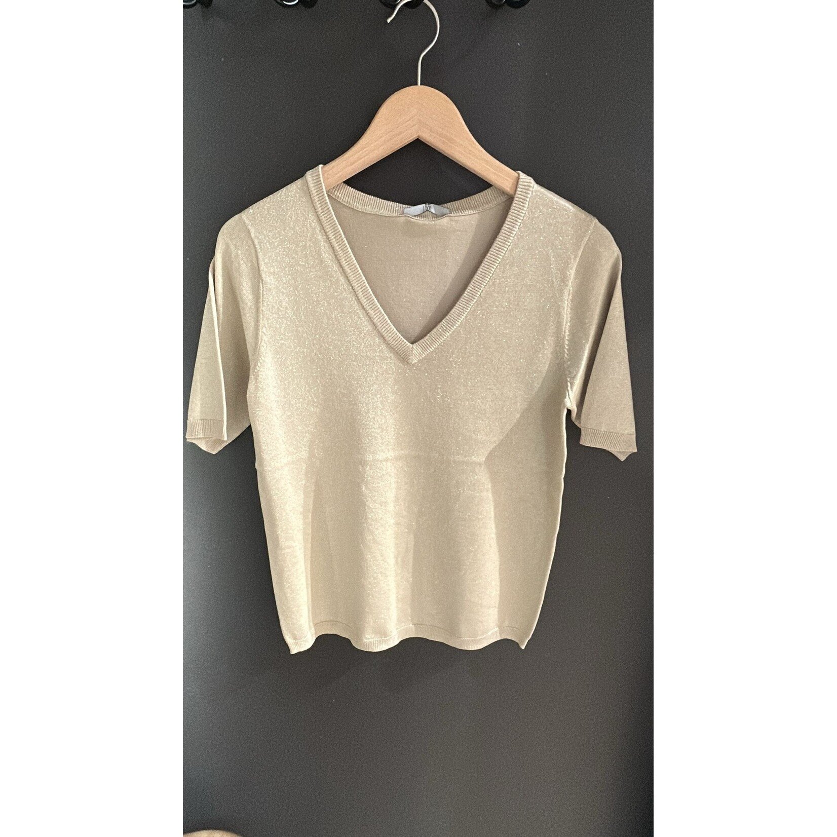 Guusje v-neck lurex t-shirt Dune