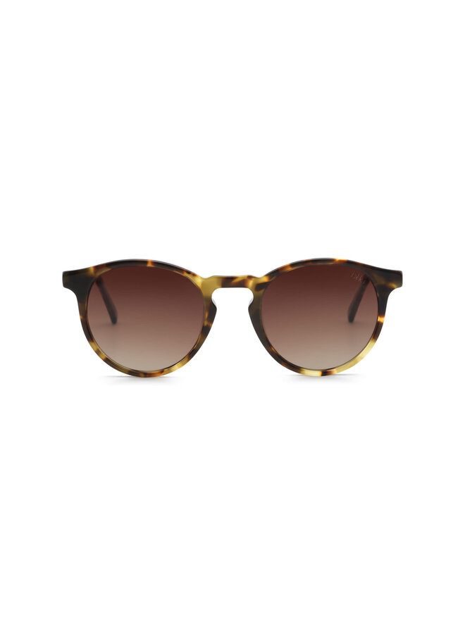 SAM Light Turtle - Gradient Brown