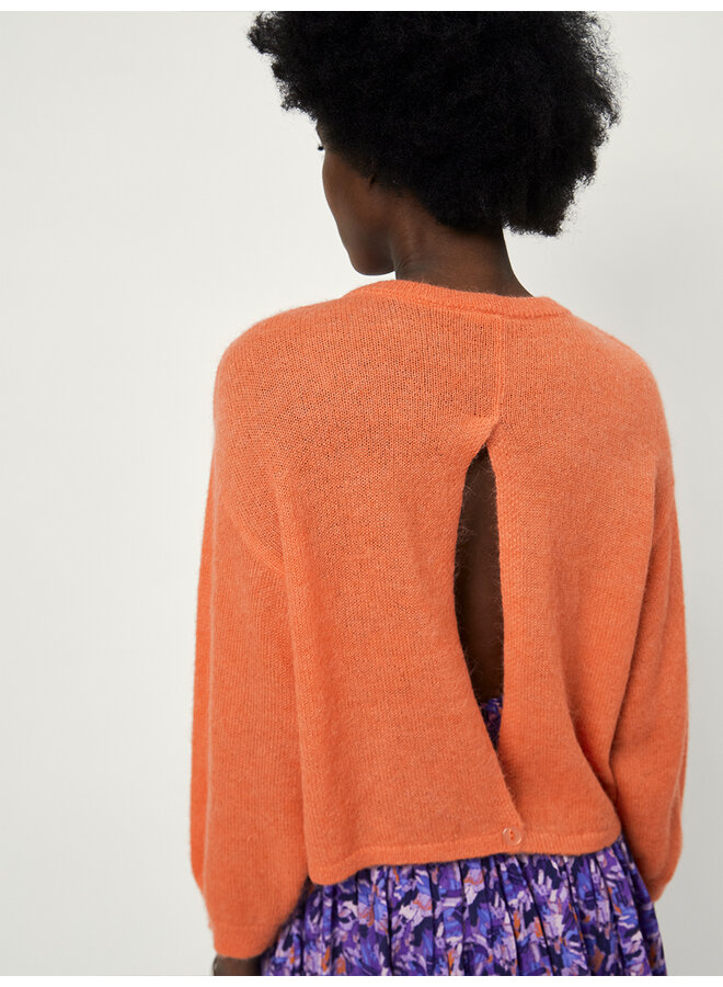 Ullysa Open Back Sweater apricot sorbet