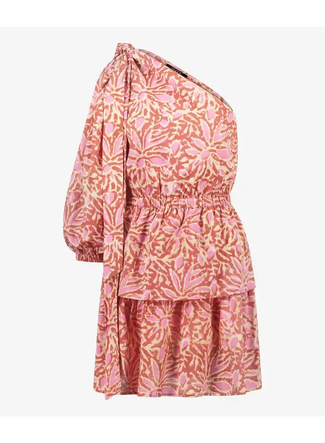 Daffi dress Blush Blossom