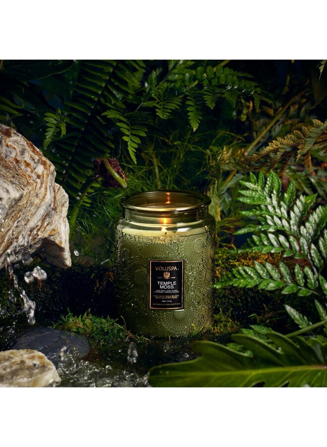 TEMPLE MOSS - Large jar