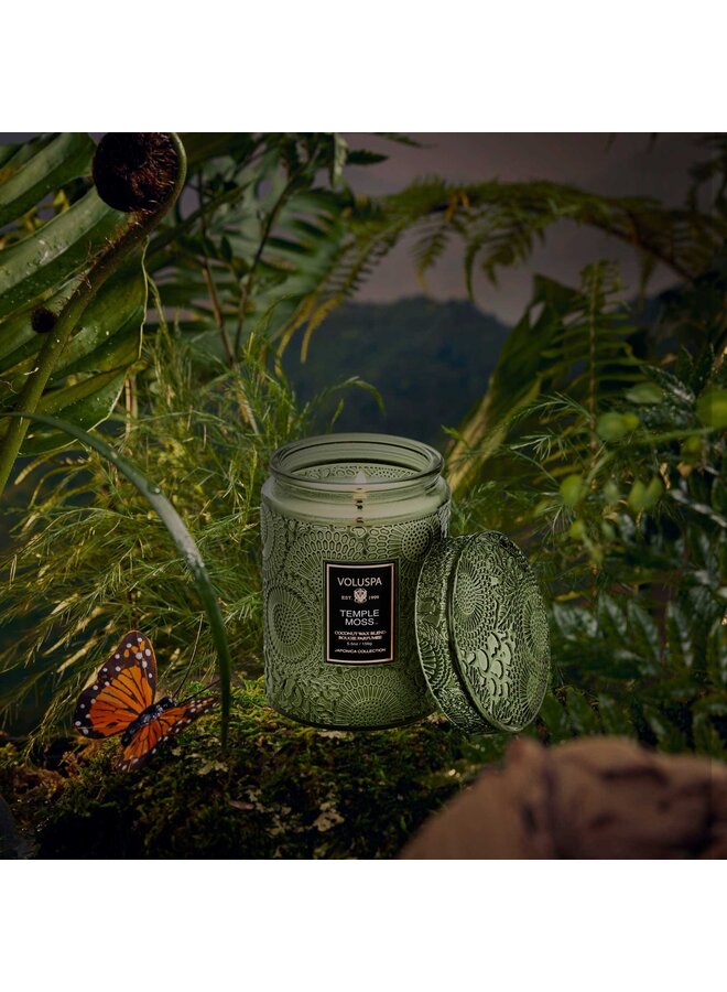 TEMPLE MOSS - Small jar