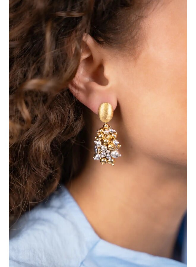 Zilver- en Goudkleurige Oorbellen Amy