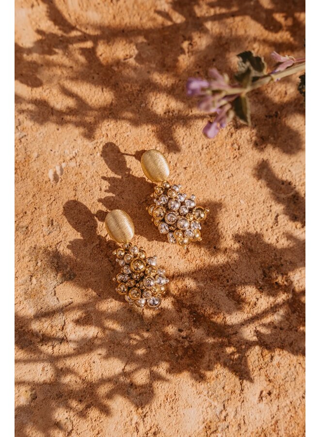 Zilver- en Goudkleurige Oorbellen Amy