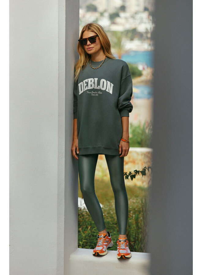 Shine Leggings High Waistband Sage