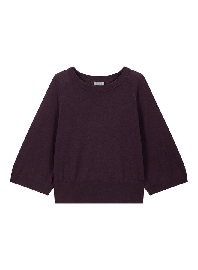 Sweater Soft Rasin (merino)