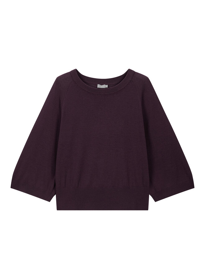 Sweater Soft Rasin (merino)