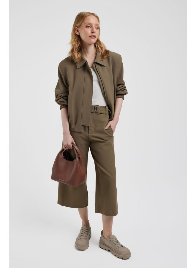 DAISY camel