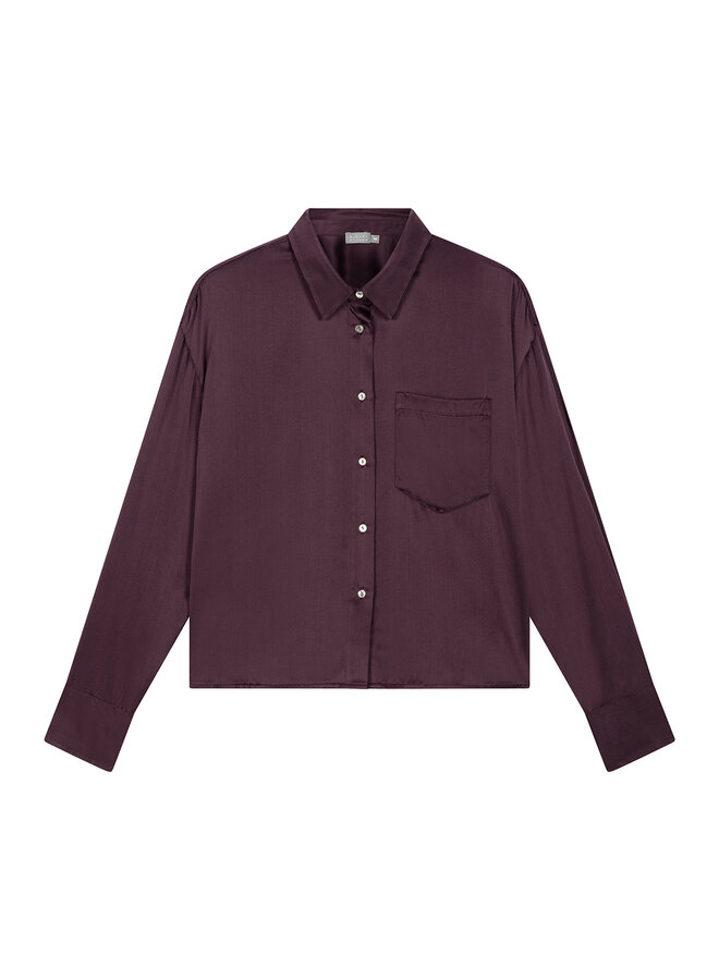 Silk blouse Soft Rasin