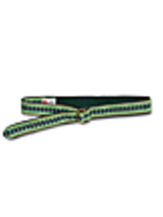 AO76 Embroidered belt