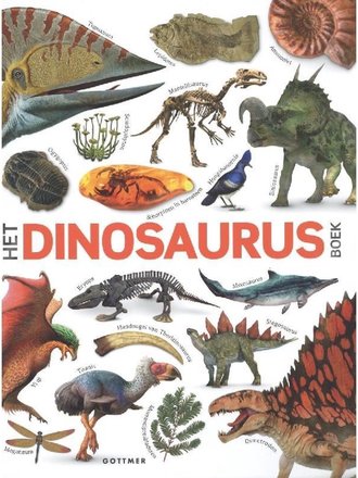 Kinderboeken Het Dinosaurusboek