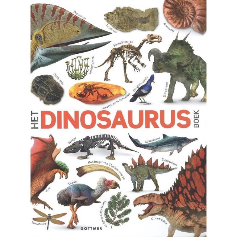 Gottmer Het Dinosaurusboek