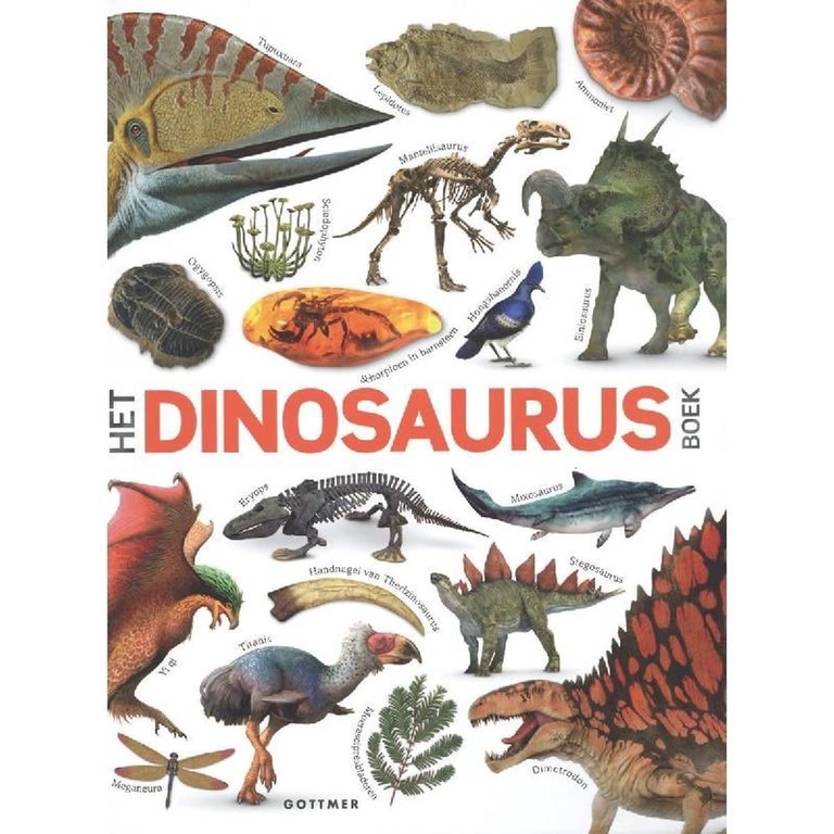 Kinderboeken Het Dinosaurusboek