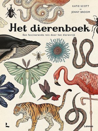 Kinderboeken Het Dierenboek