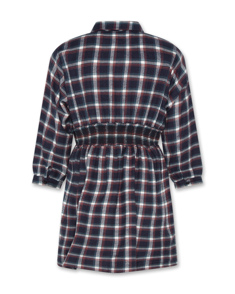 AO76 Nova blue check dress