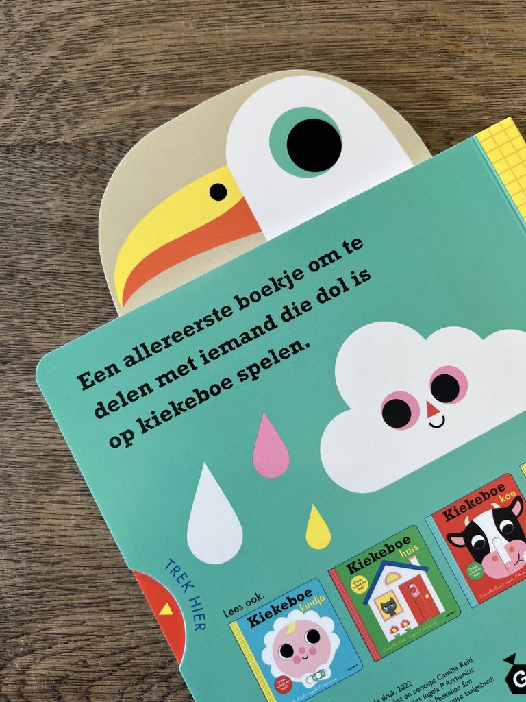 Kinderboeken Kiekeboe zon