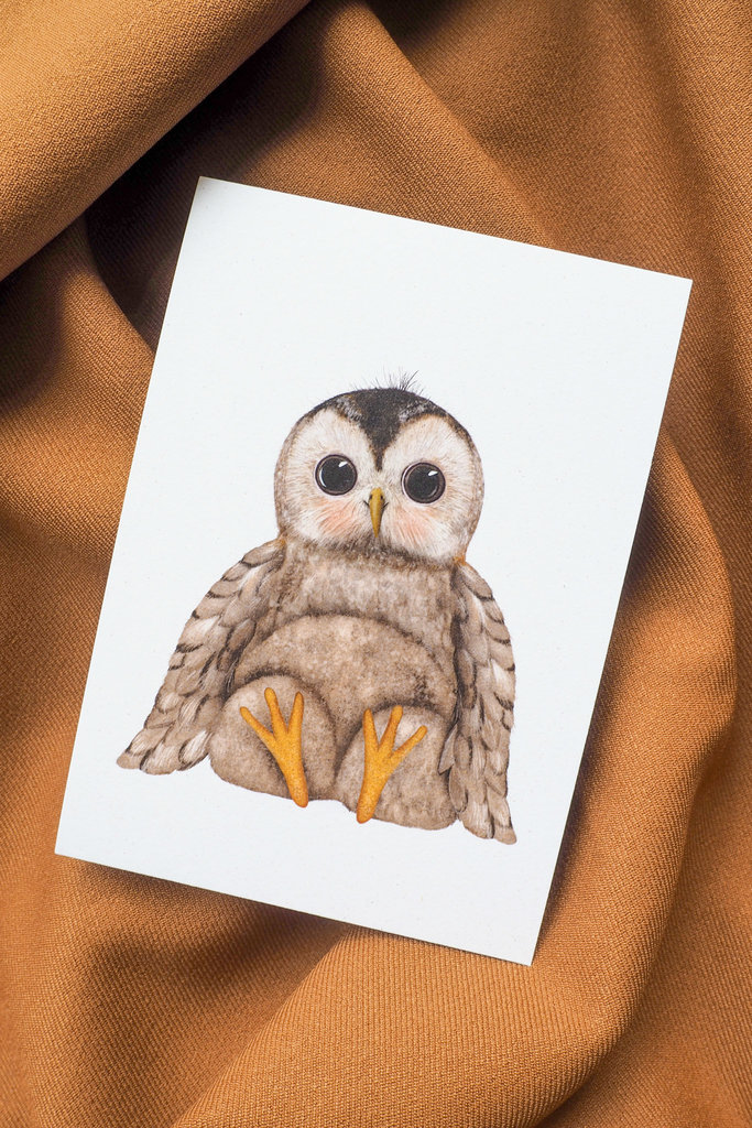 Getekenddoorzusje Tawny Owl