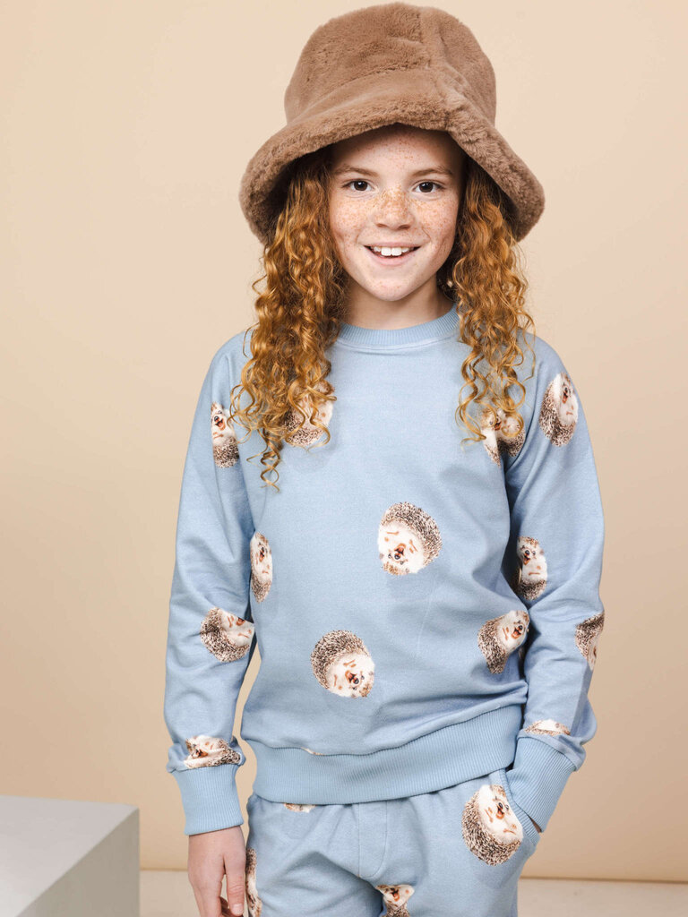 Snurk Sweater Hedgy Blue