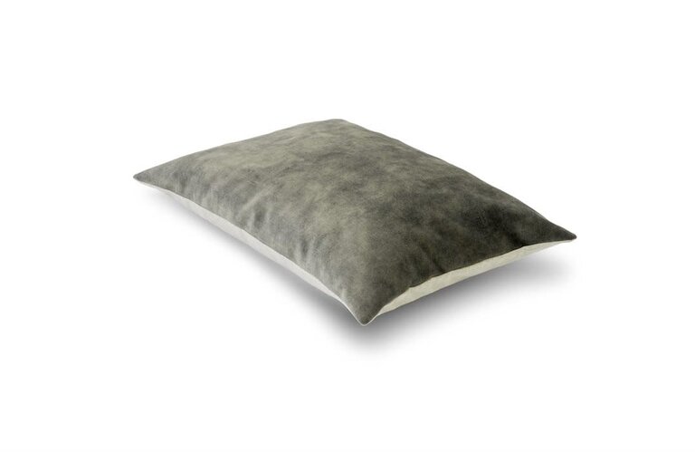 Mrs. Me Cushion, Porter Evergreen