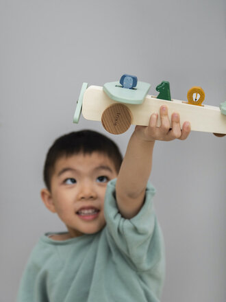 Trixie Houten Dierenvliegtuig