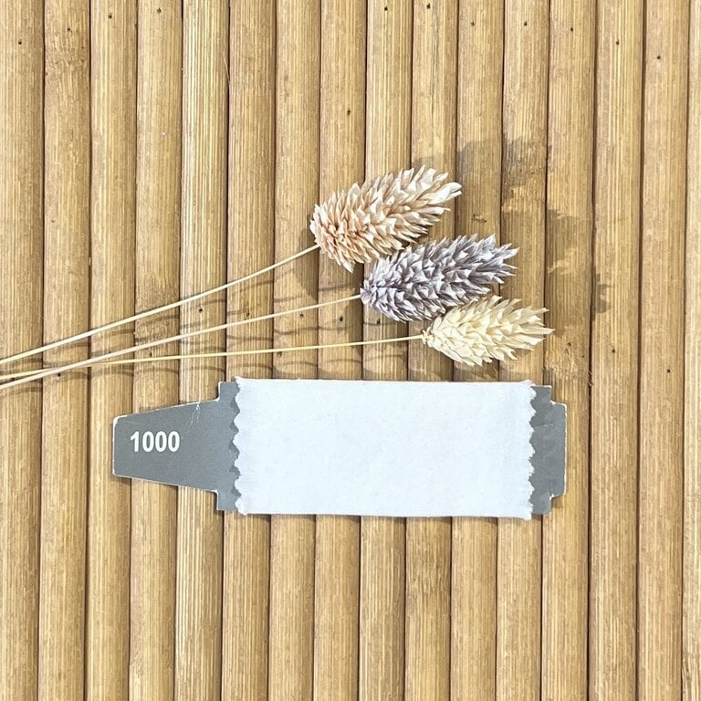 Formesse Bella Donna topper Clima, split, wit 1000