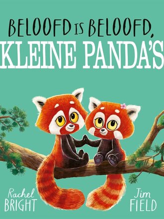 Kinderboeken Beloofd is beloofd, kleine panda