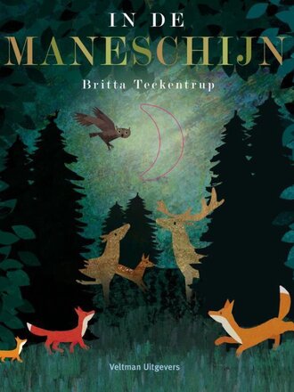 Kinderboeken In de maneschijn