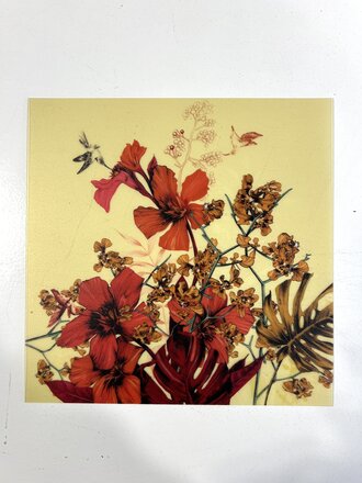 Luminae Plaat-Hummingbirds